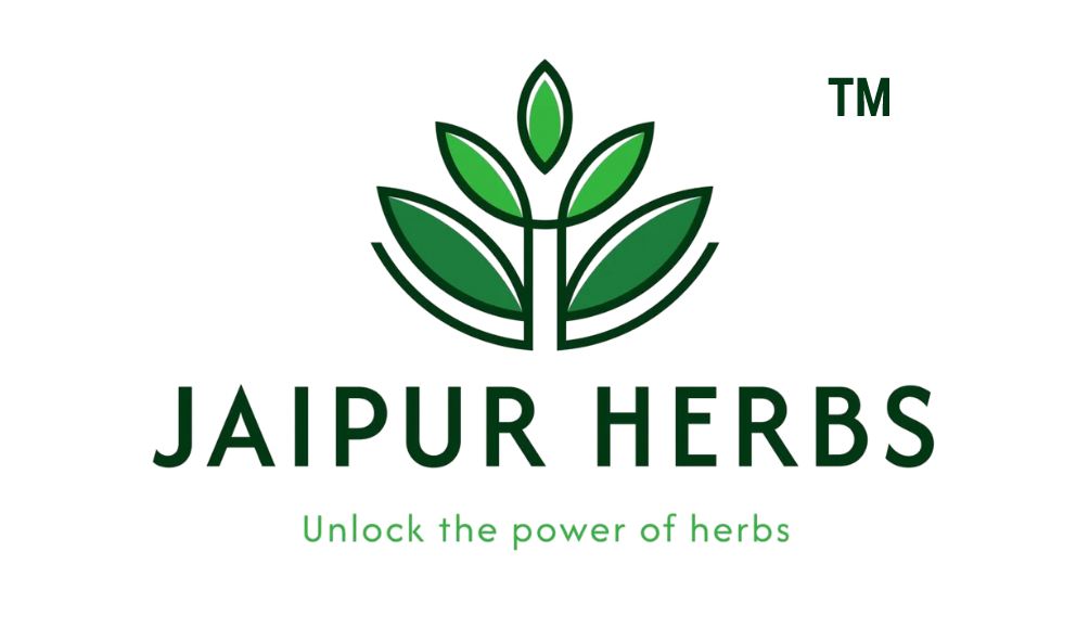 Client logo 41